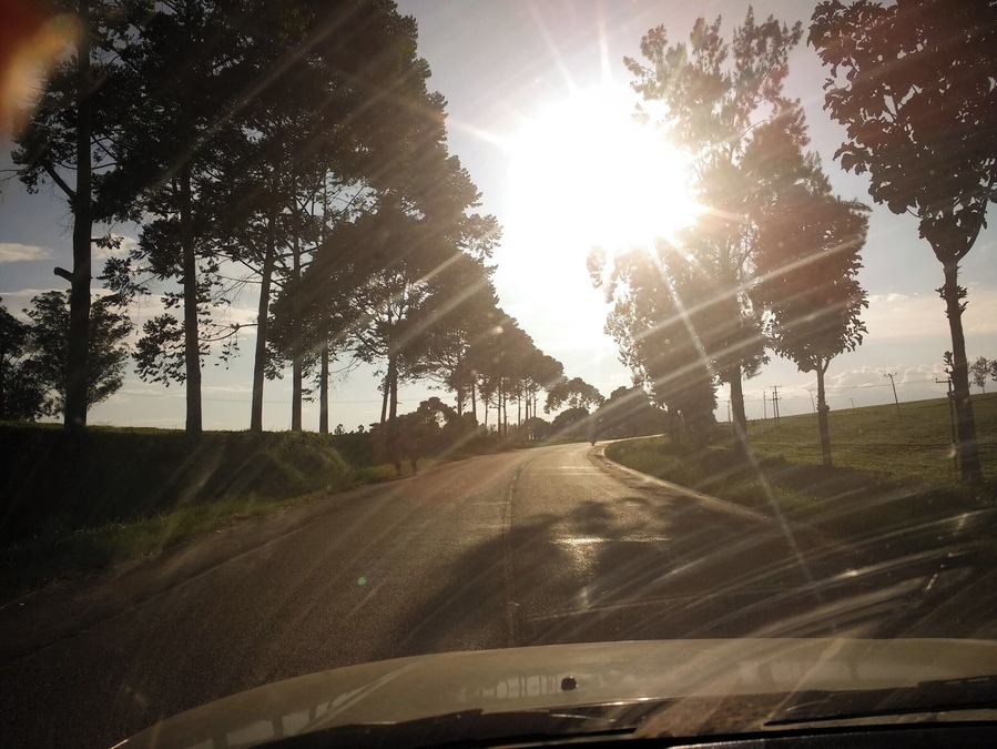 I loved entering Fort Portal and its overall vibe! It was close to sunset, my boyfriend had been driving over 800 km that day and... we were simply mesmerised by the tea plantations, the smiles, and the ubiquitous green.