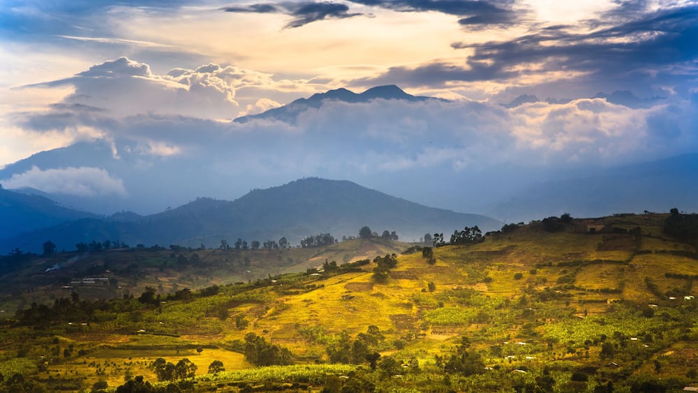 View to Rwenzori Mountains around Fort Portal - Uganda