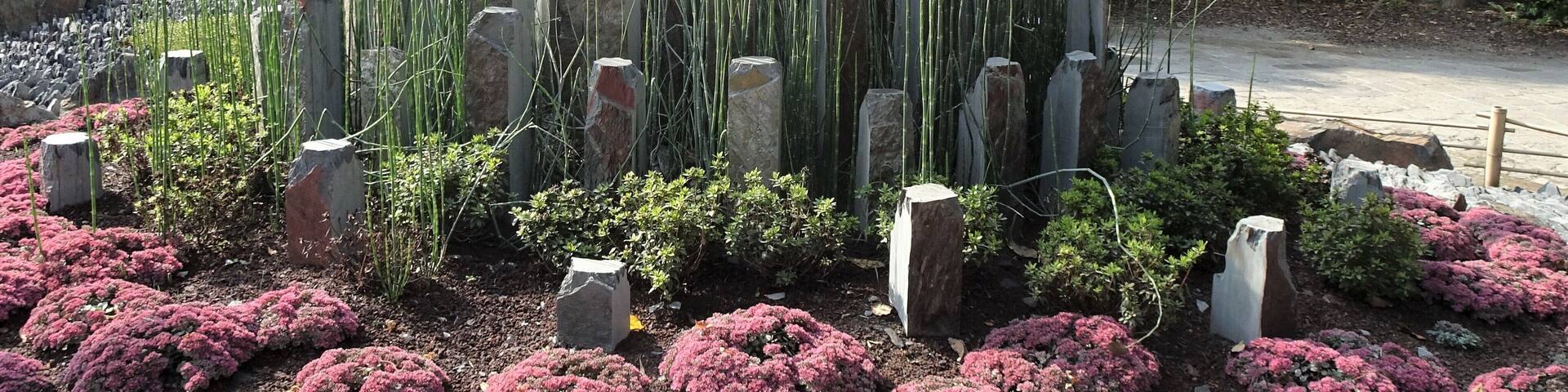 Along the road through the Chinese garden.