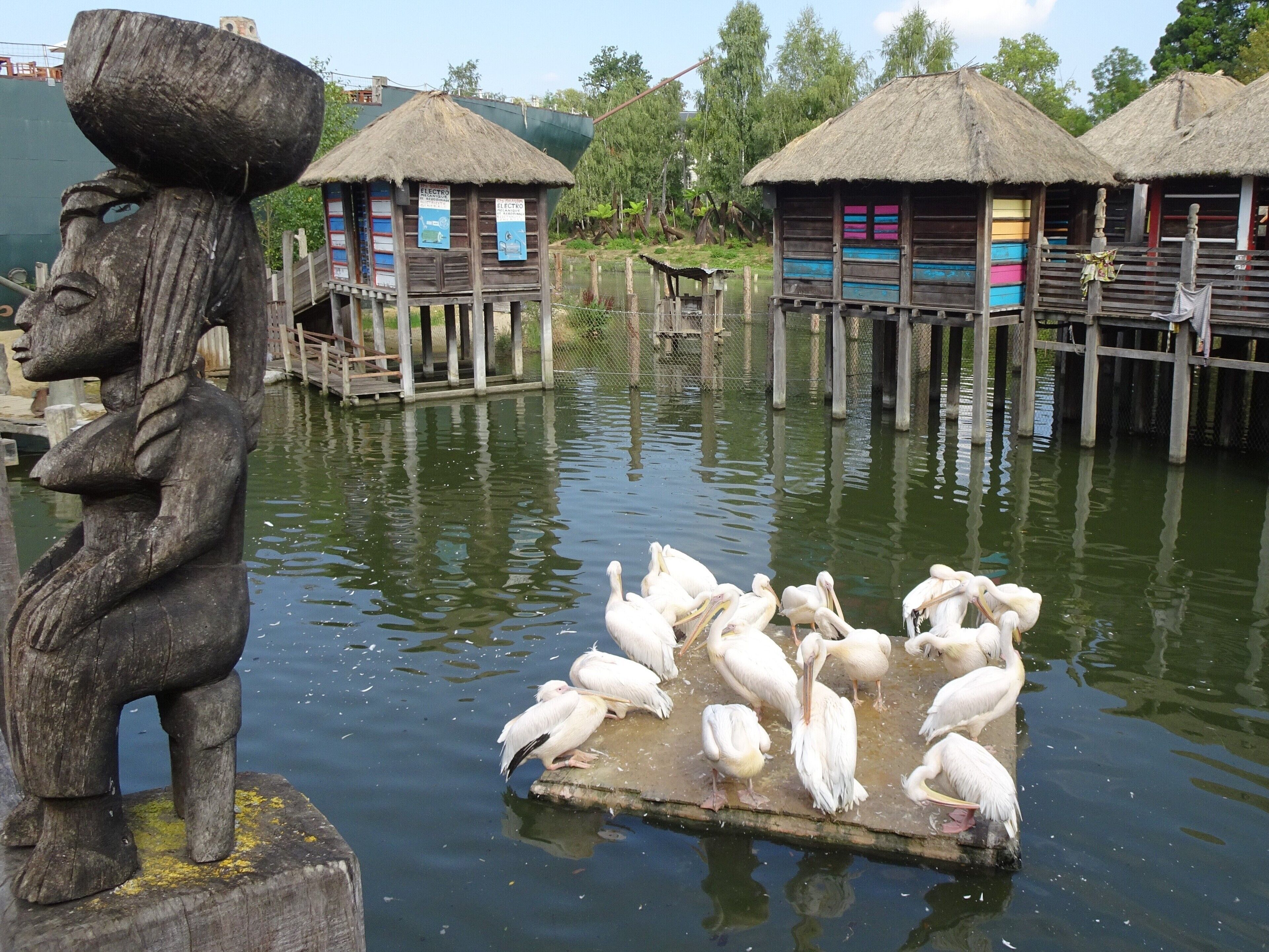 Pairi Daiza is a big animal park, located on the site of the former Abbey of Cambron, where visitors make a trip along the 5 continents and discover more than 5,000 animals. 
The park is thematically constructed as "Gardens of the world". In one of them you can find an African pile village, inspired by the well-known village of Ganvié in Benin, but pile villages can also be found in Senegal, Mali, Ivory Coast and Burkina Faso.