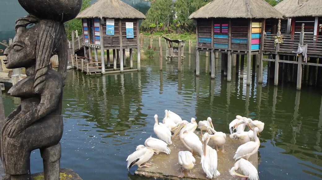 Pairi Daiza is a big animal park, located on the site of the former Abbey of Cambron, where visitors make a trip along the 5 continents and discover more than 5,000 animals.
The park is thematically constructed as "Gardens of the world". In one of them you can find an African pile village, inspired by the well-known village of Ganvié in Benin, but pile villages can also be found in Senegal, Mali, Ivory Coast and Burkina Faso.