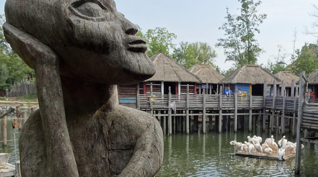 Pairi Daiza is a big animal park, located on the site of the former Abbey of Cambron, where visitors make a trip along the 5 continents and discover more than 5,000 animals.
The park is thematically constructed as "Gardens of the world". In one of them you can find an African pile village, inspired by the well-known village of Ganvié in Benin, but pile villages can also be found in Senegal, Mali, Ivory Coast and Burkina Faso.