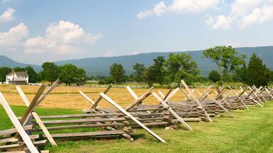 Panorama of NewMarket Battlefield