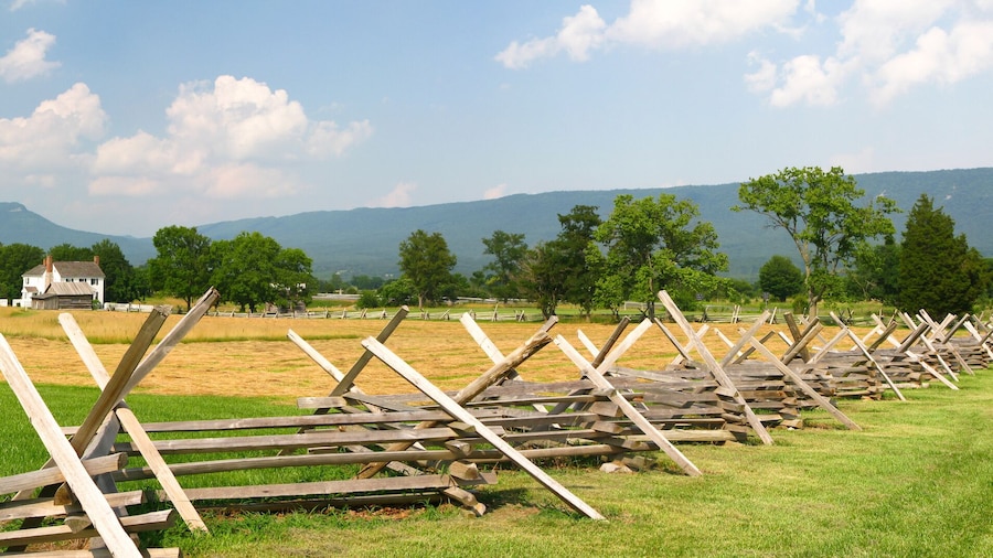 Campo de batalla de New Market