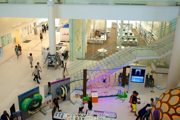 Okinawan prefektuuri- ja taidemuseo joka esittää sisäkuvat ja taide