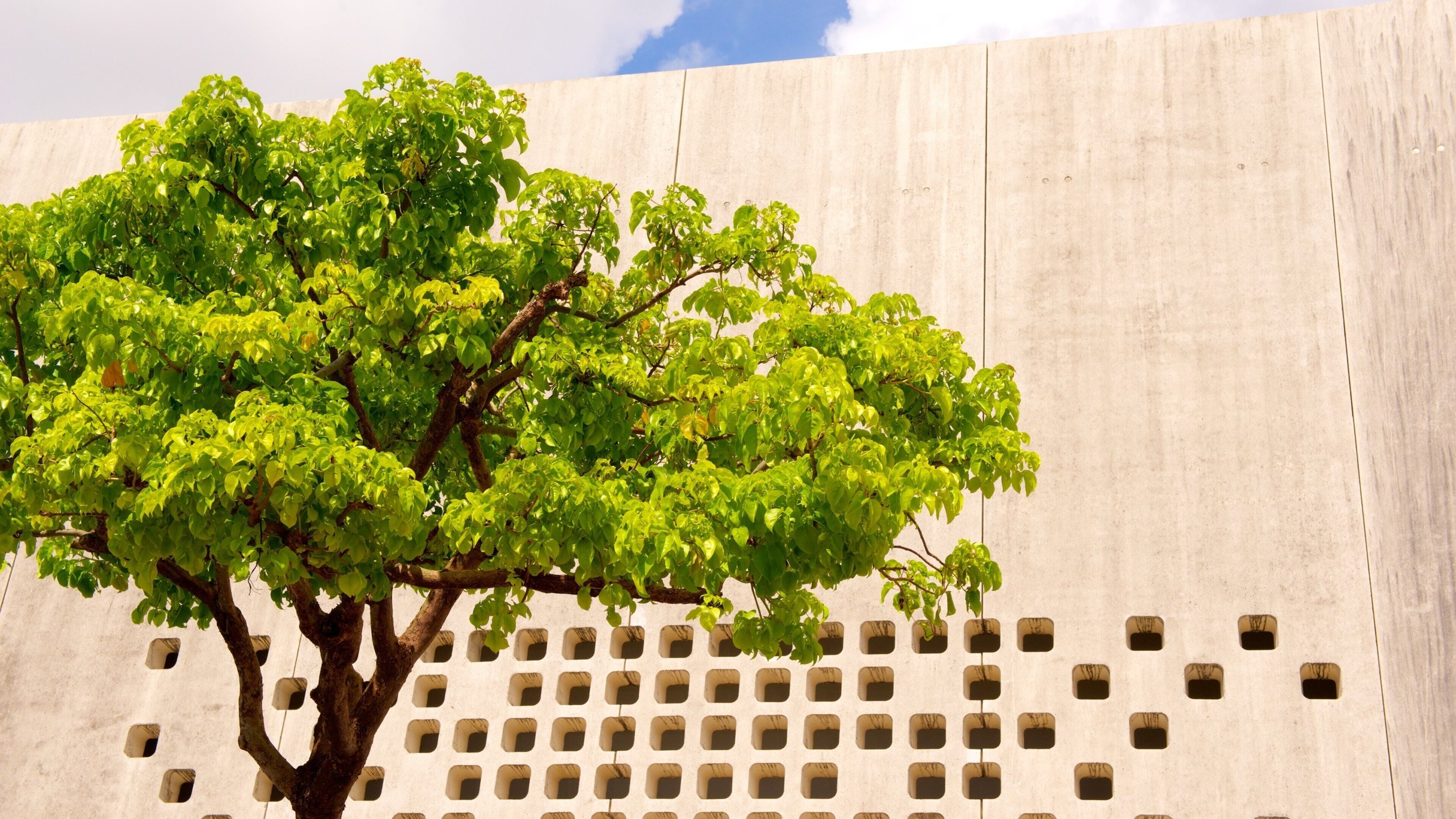 Okinawa Prefectural Museum and Art Museum