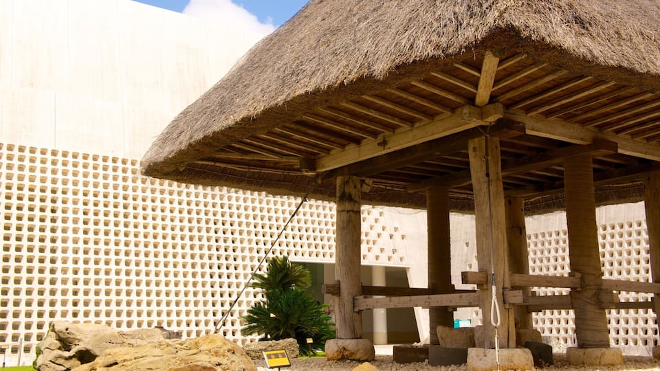 Okinawa Prefectural Museum and Art Museum showing art