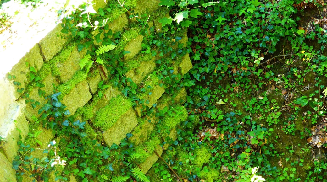 Julbach Schlossberg (Brunnen)