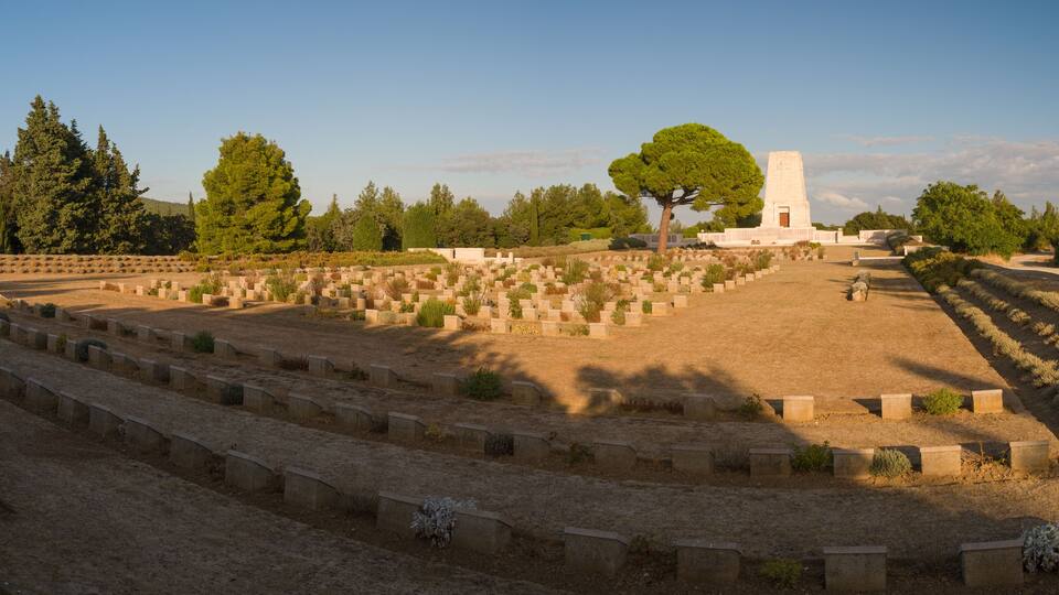 A cemetery with rows of headstones and a large tree in the center.