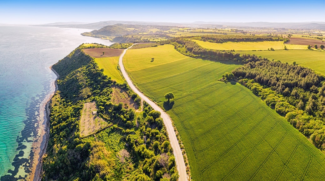 aerial perspective of the vibrant landscape where lush green fields meet the turquoise waters of the Mediterranean Sea at Dardanelles strait