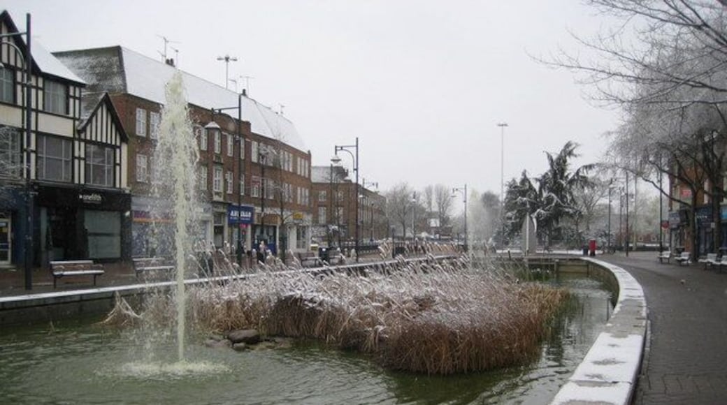 Watford: The Pond The water was a rather alarming pea-green soup colour contrasting with the whiteness of the snow on the roofs.