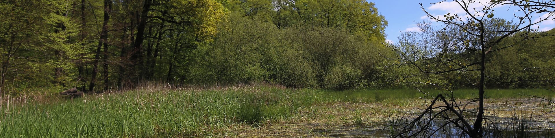 Naturschutzgebiet „Faulbruch bei Erzhausen“ (NSG 1432028)
