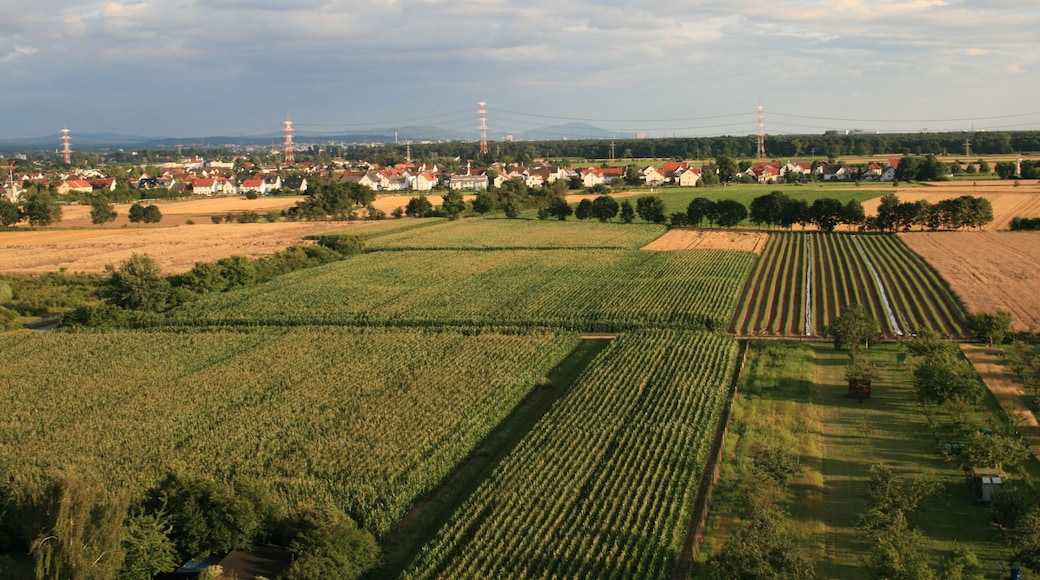 Erzhausen von oben, Blickrichtung Südost von der Heegberghalle aus