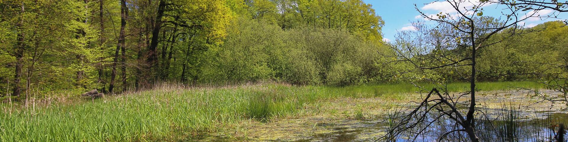 Naturschutzgebiet „Faulbruch bei Erzhausen“ (NSG 1432028)