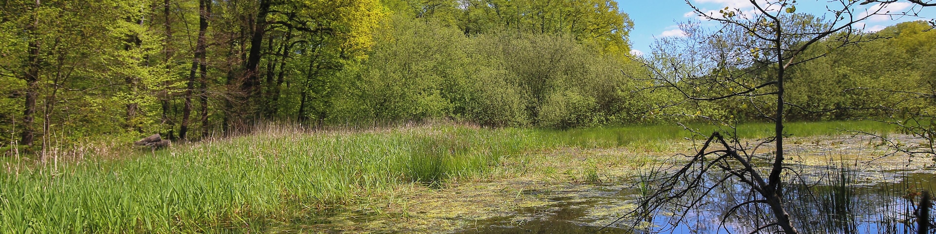 Naturschutzgebiet „Faulbruch bei Erzhausen“ (NSG 1432028)