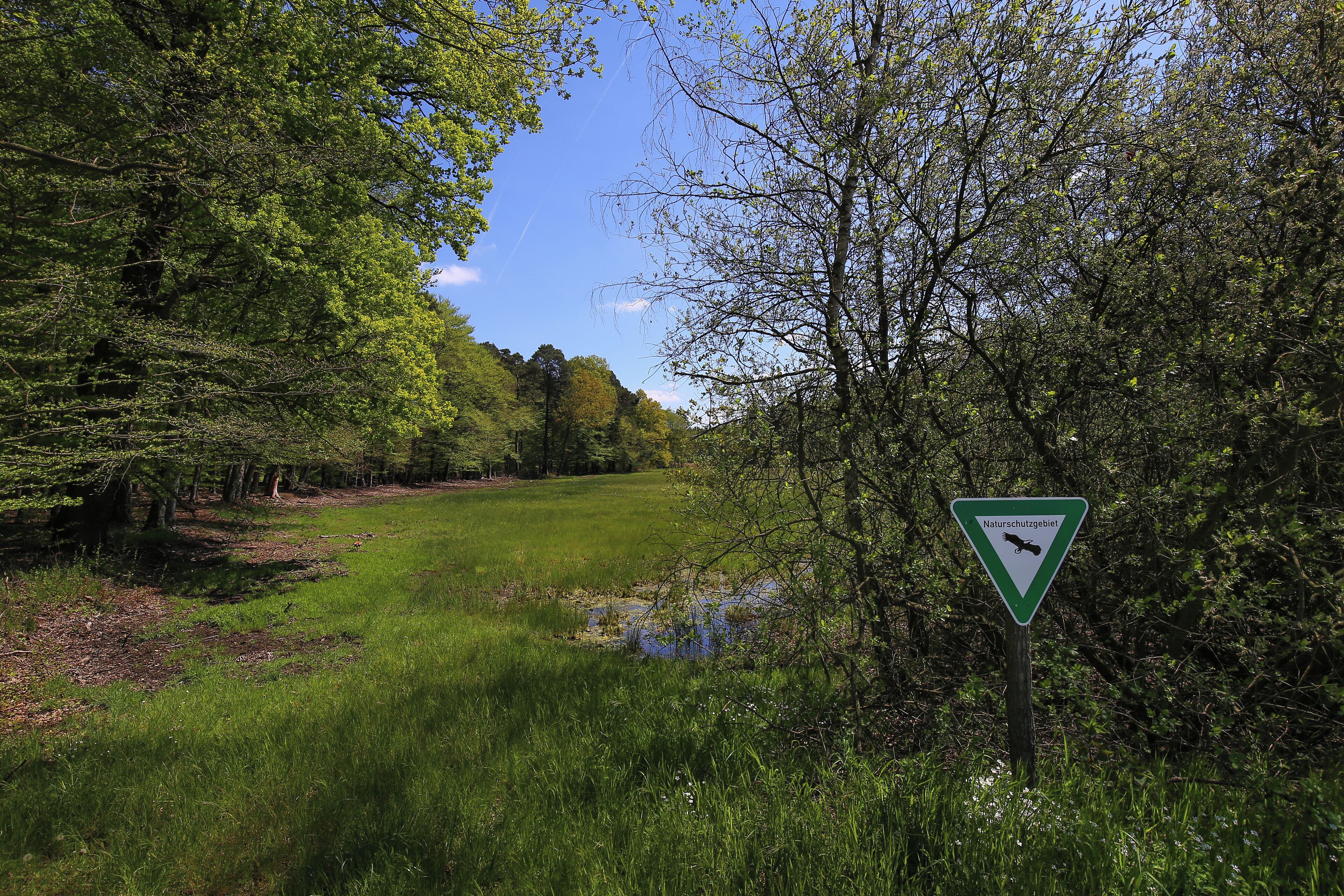 Wiese im Naturschutzgebiet „Faulbruch bei Erzhausen“ (NSG 1432028), Hessen