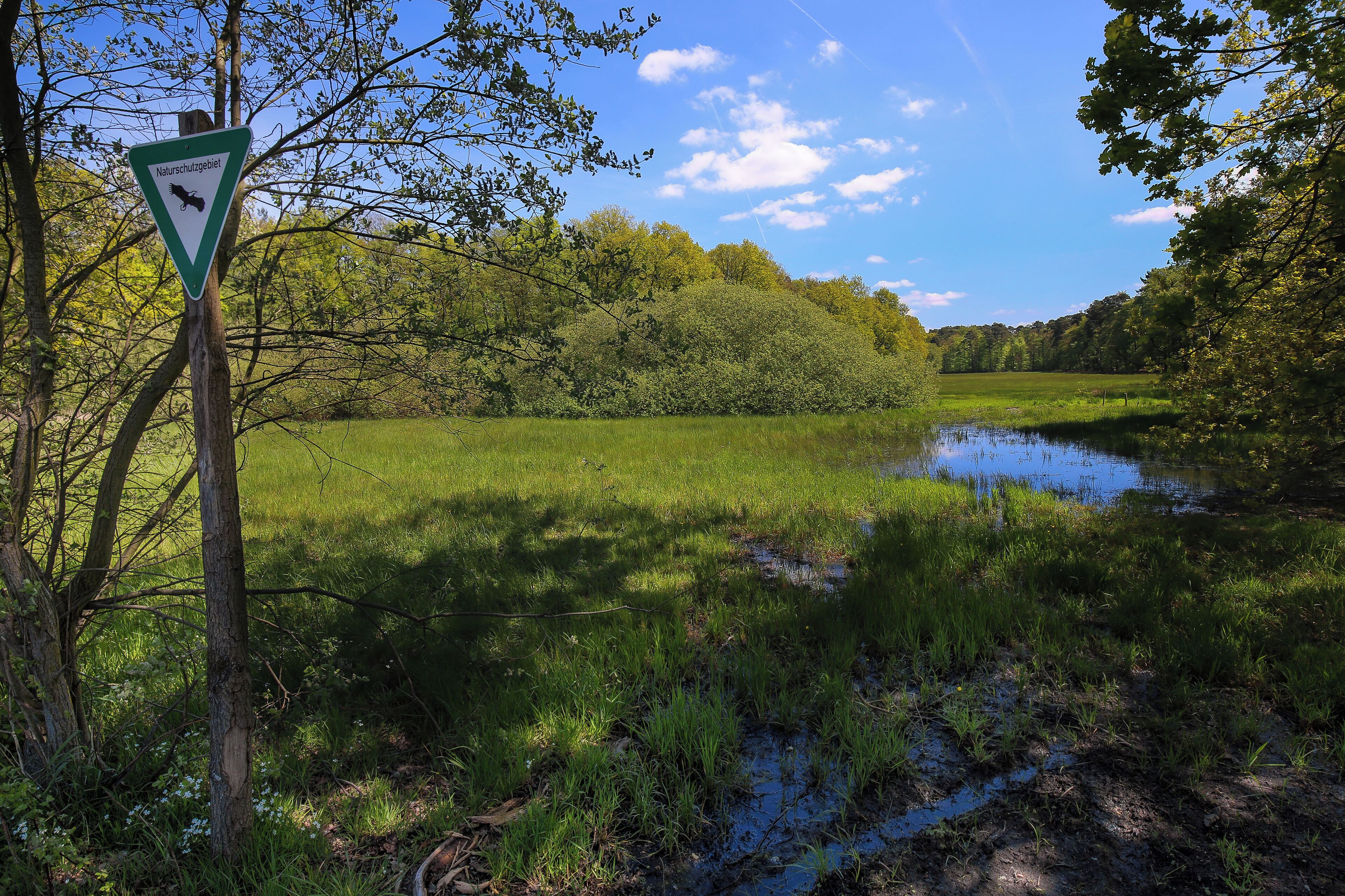 Wiese im Faulbruch zwischen Erzhausen und Wixhausen, Naturschutzgebiet „Faulbruch bei Erzhausen“ (NSG 1432028)