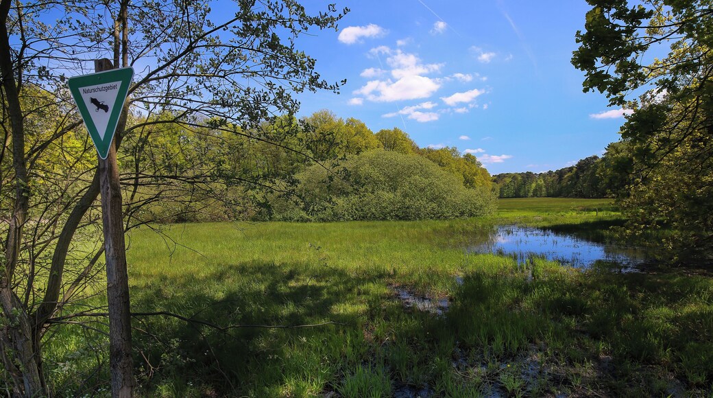 Wiese im Faulbruch zwischen Erzhausen und Wixhausen, Naturschutzgebiet „Faulbruch bei Erzhausen“ (NSG 1432028)