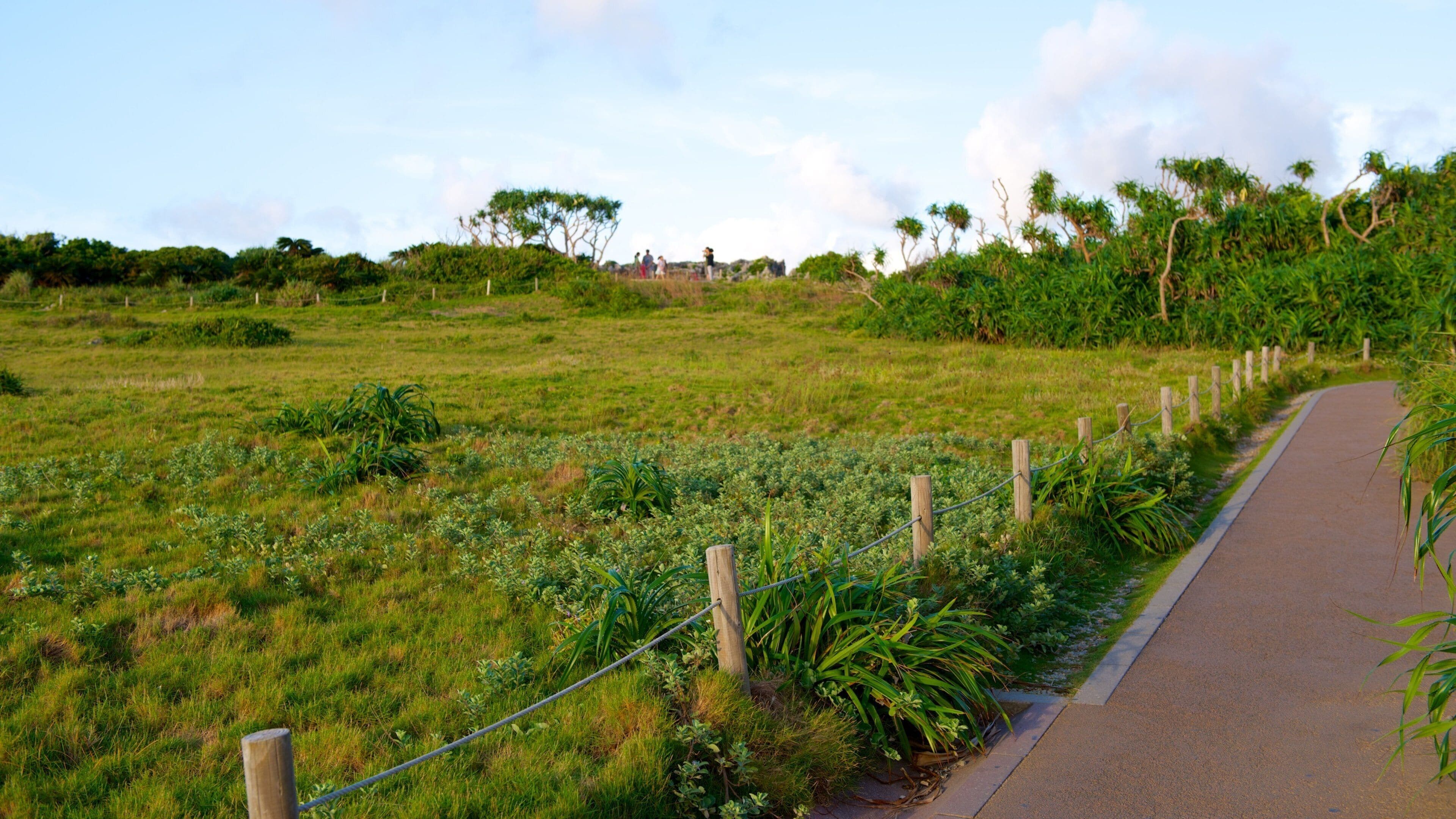 Cape Manza featuring tranquil scenes