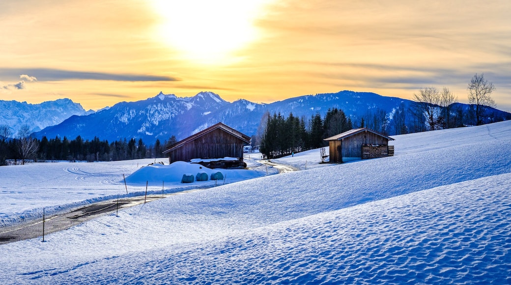 landscape at the Murnau am Staffelsee moss - bavaria