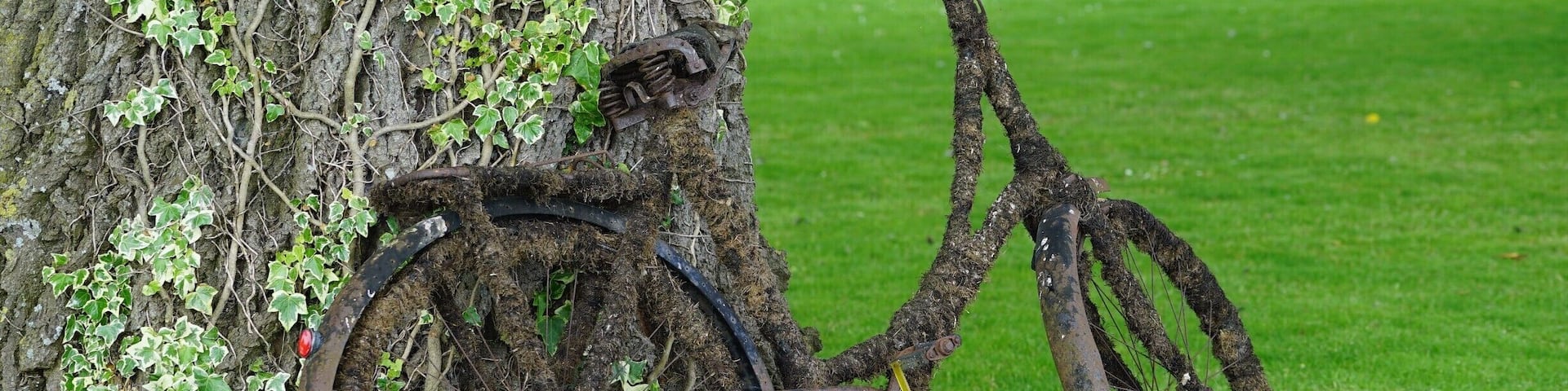 At the Fru Hansens Cafe and Nursery. A beautiful stop if you are driving through the Denmark countryside. Tell Lotte that Dave says "hi".