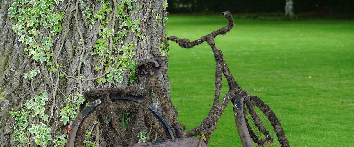 A bicycle leaning against a tree with ivy growing on it.