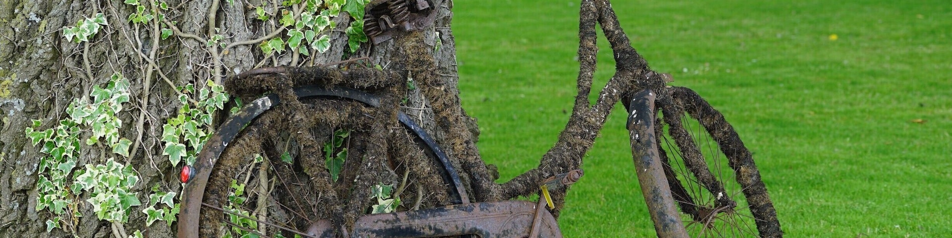 A bicycle leaning against a tree with ivy growing on it.