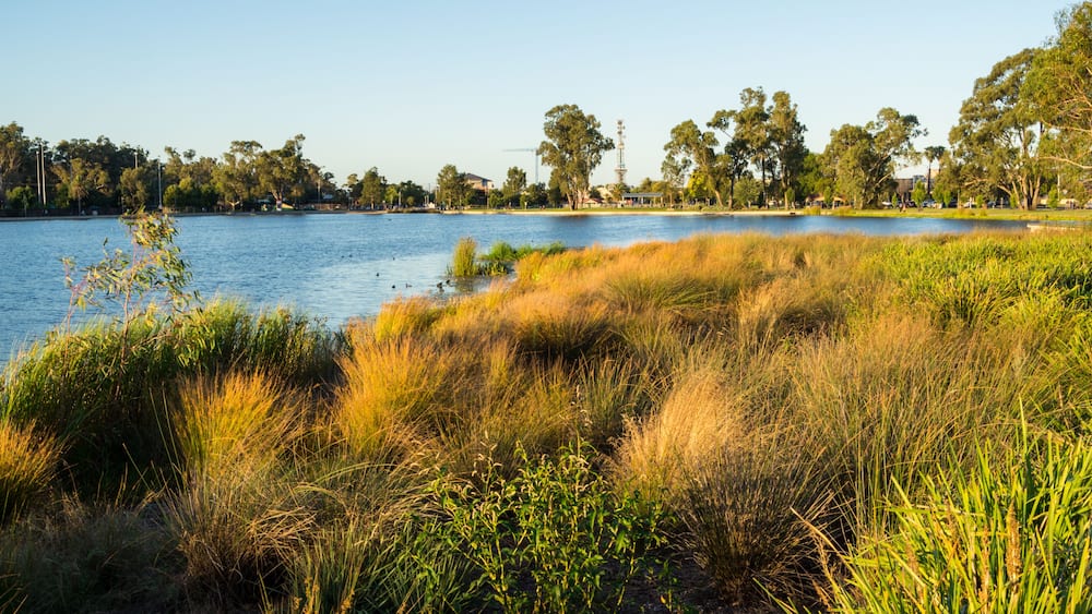 Victoria Park Lake in the regional Goulburn Valley town of Shepparton, Australia., Shutterstock ID 1230491413, Purchase Order: SP-1822 ANZ-18120 Wotif Search Engine - Destination Imagery, Order Number