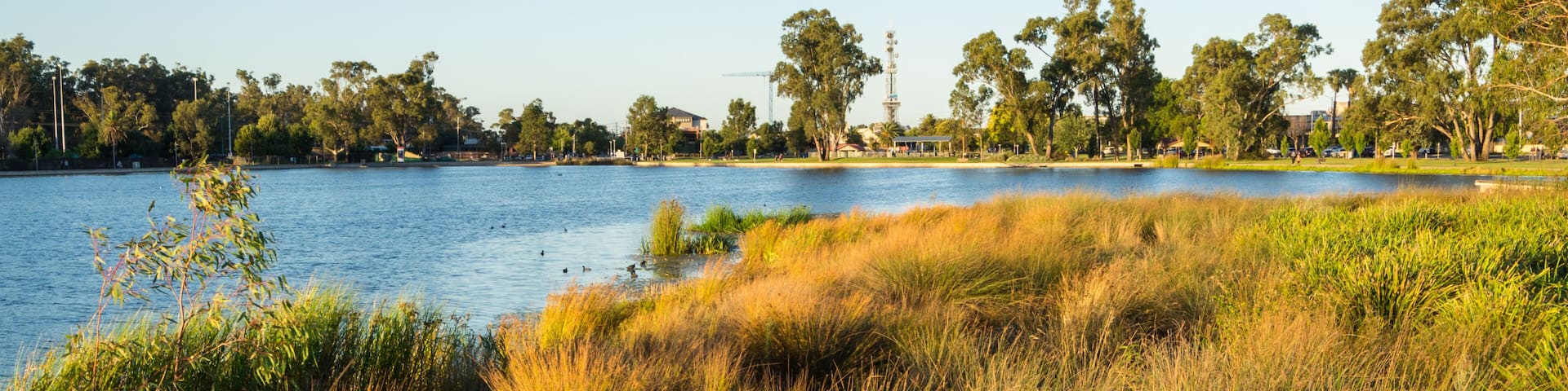 Victoria Park Lake in the regional Goulburn Valley town of Shepparton, Australia., Shutterstock ID 1230491413, Purchase Order: SP-1822 ANZ-18120 Wotif Search Engine - Destination Imagery, Order Number