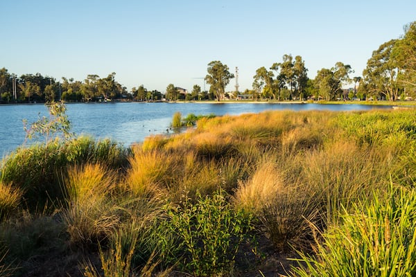 Victoria Park Lake in the regional Goulburn Valley town of Shepparton, Australia., Shutterstock ID 1230491413, Purchase Order: SP-1822 ANZ-18120 Wotif Search Engine - Destination Imagery, Order Number