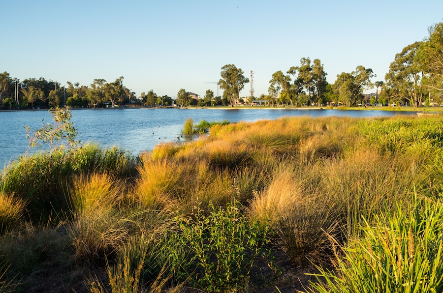 Victoria Park Lake in the regional Goulburn Valley town of Shepparton, Australia., Shutterstock ID 1230491413, Purchase Order: SP-1822 ANZ-18120 Wotif Search Engine - Destination Imagery, Order Number