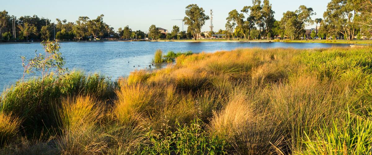 A lake surrounded by grass and trees.