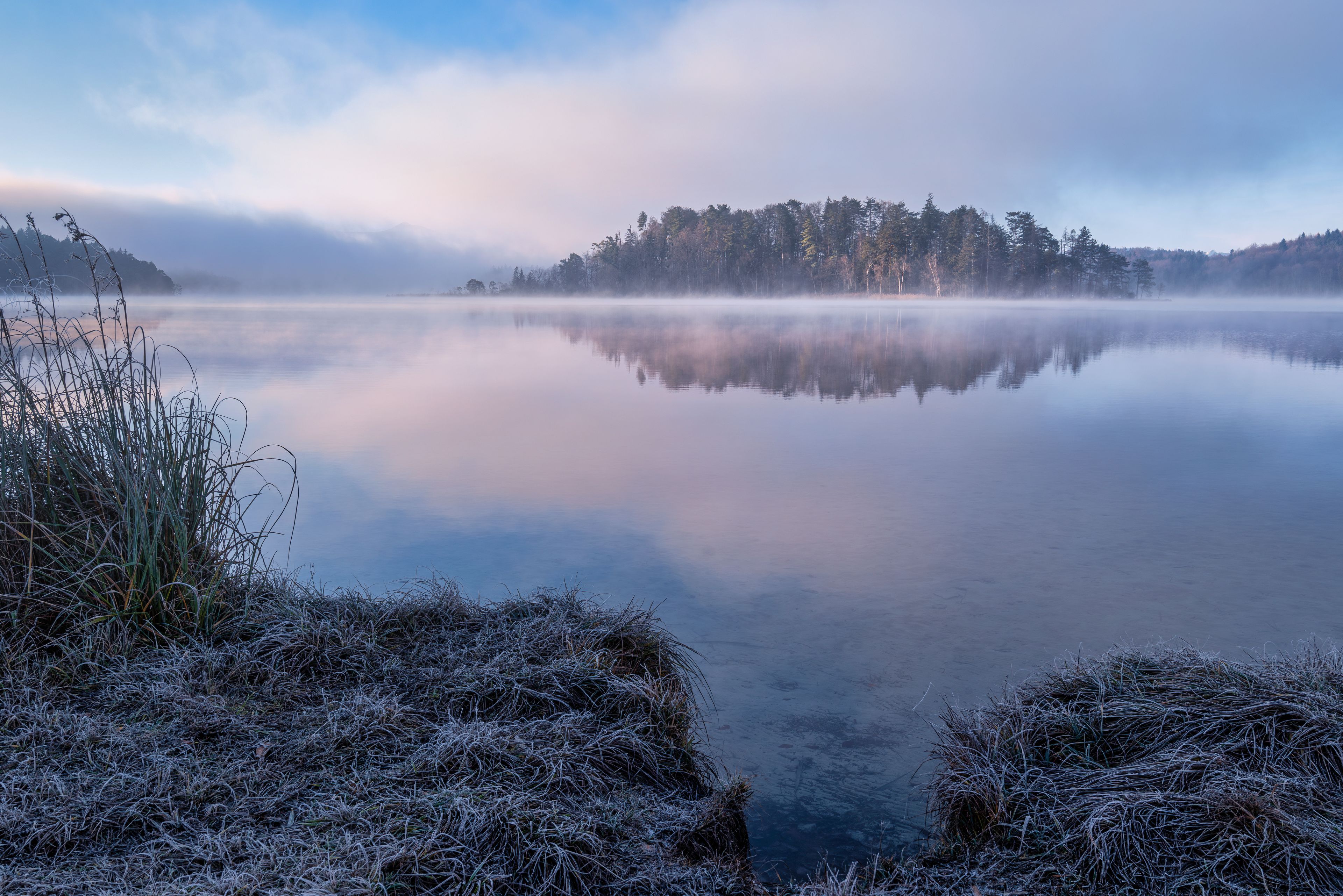 Un lago tranquilo con un bosque brumoso al fondo.