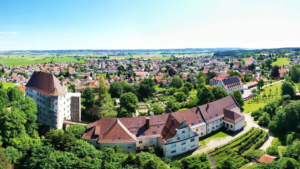A town with a prominent castle, lush green fields, and a dense forest in the background.