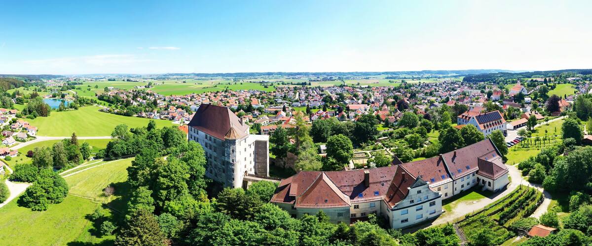 A town with a prominent castle, lush green fields, and a dense forest in the background.