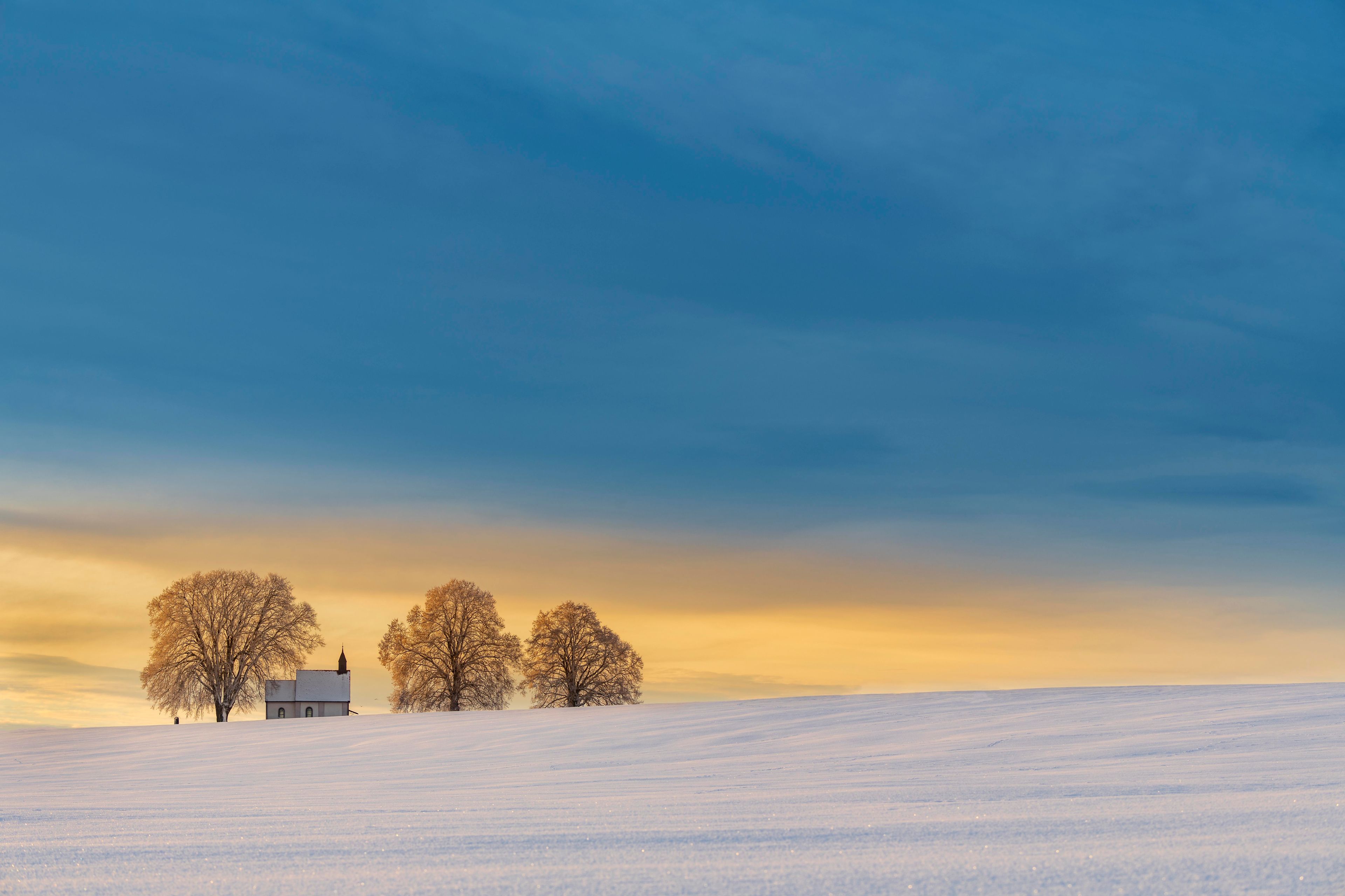 A snow-covered field with a small building and three leafless trees.