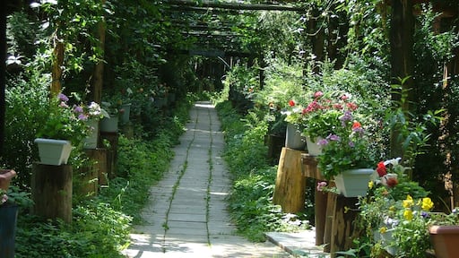 Einer der vielen Wandelgänge im Mariental des Einsiedlers