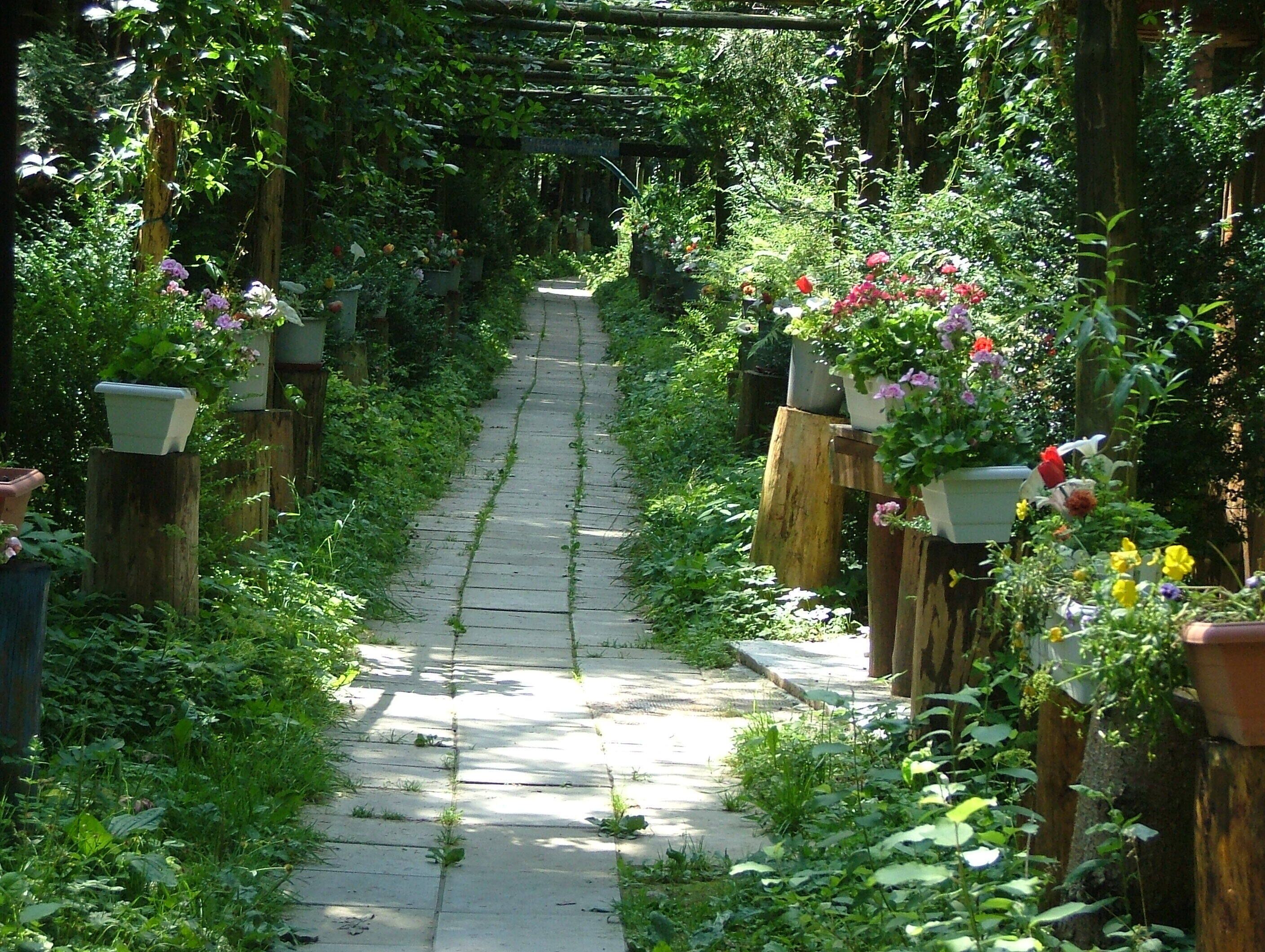 A stone pathway flanked by wooden posts with potted flowers and lush greenery.