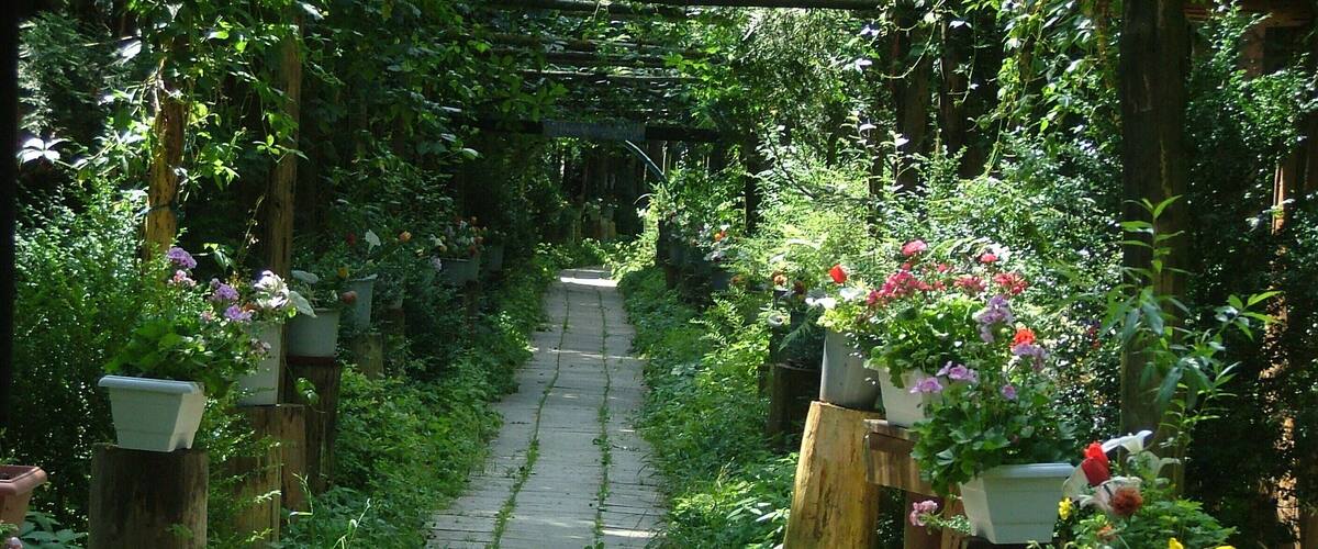 A stone pathway flanked by wooden posts with potted flowers and lush greenery.