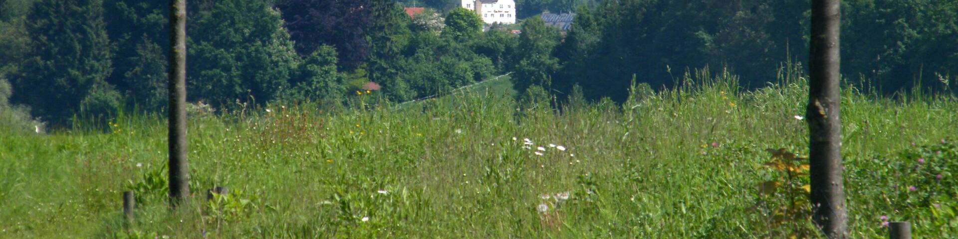 St.Martin von Illerberg