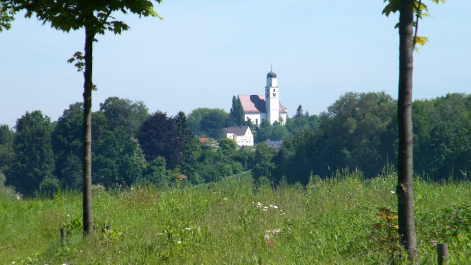A church with a tower surrounded by trees and grass.