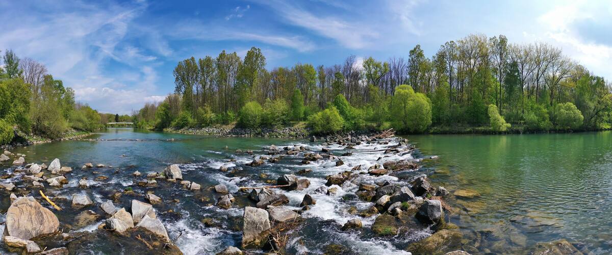 A river with clear water flowing over rocks, surrounded by dense green trees and a clear blue sky.