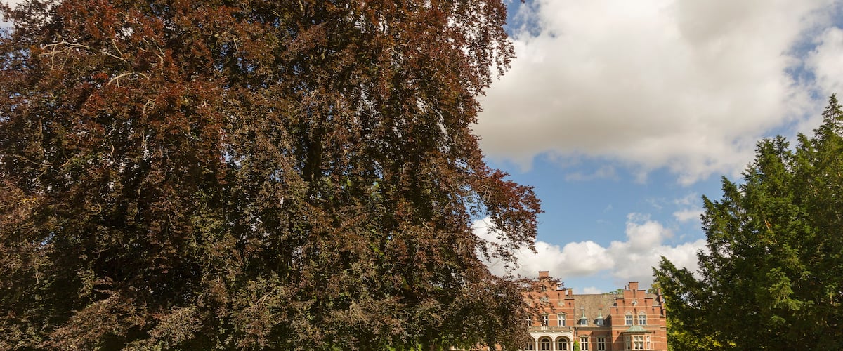 A large tree in front of a historic building.