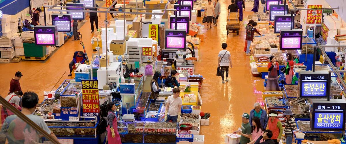 ๋
ธ๋์ง์์ฐ์์ฅ ์ ๋ณด์ฌ์ฃผ๋ ์์ ๊ณผ ์์ฅ ๋ฟ๋ง ์๋๋ผ ์๊ท๋ชจ ์ฌ๋๋ค