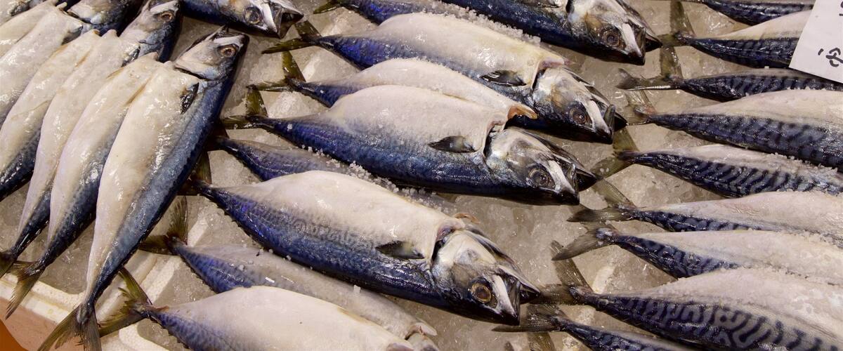 Noryangjin Fish Market featuring markets and food