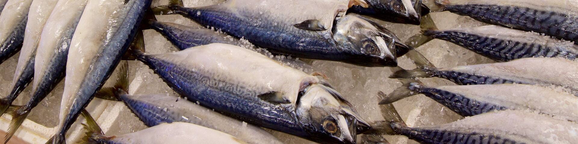 Noryangjin Fish Market featuring markets and food