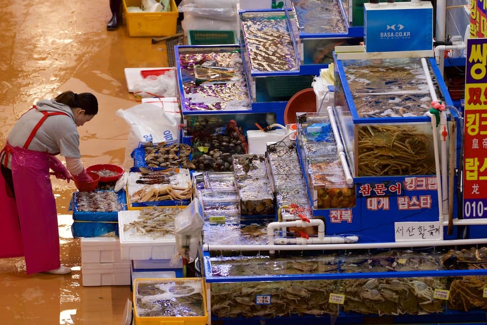 Um mercado de frutos do mar com diversos tipos de peixe e marisco expostos em recipientes.
