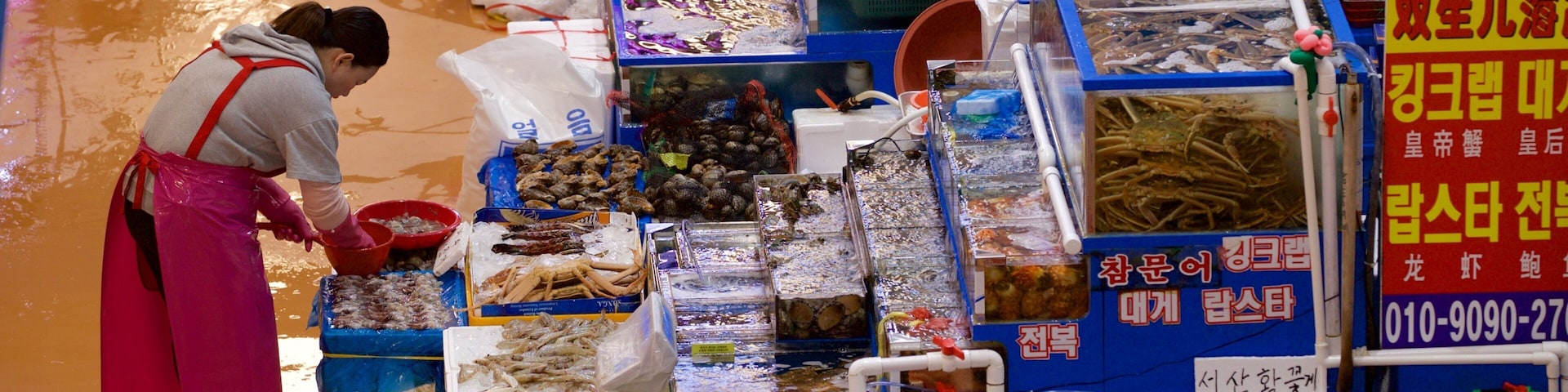 Noryangjin Fish Market showing food and markets as well as an individual femail