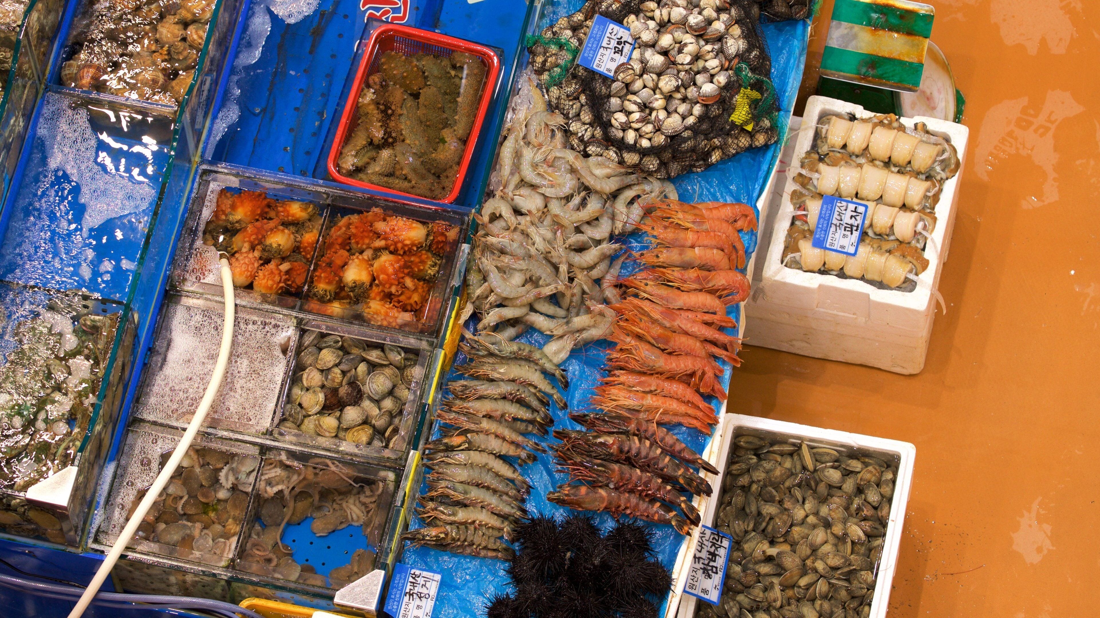 Un marché aux fruits de mer où l’on trouve différents types de crustacés et de crevettes présentés dans des plateaux.