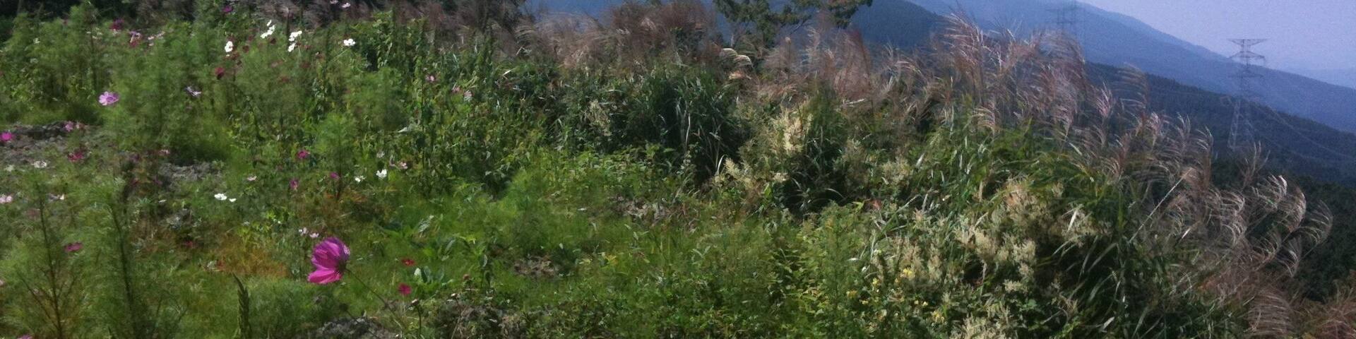 愛媛県四国中央市